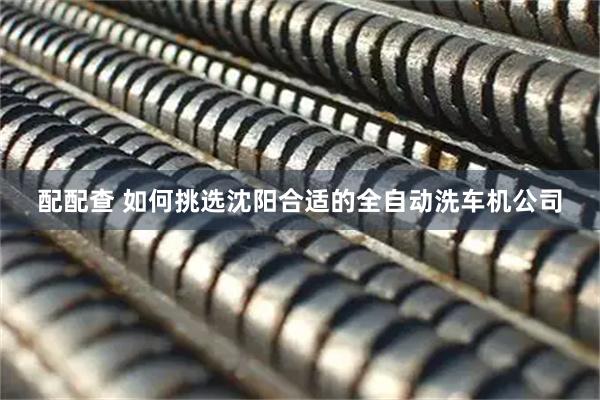 配配查 如何挑选沈阳合适的全自动洗车机公司