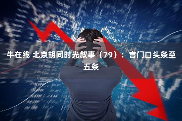 牛在线 北京胡同时光叙事（79）：宫门口头条至五条
