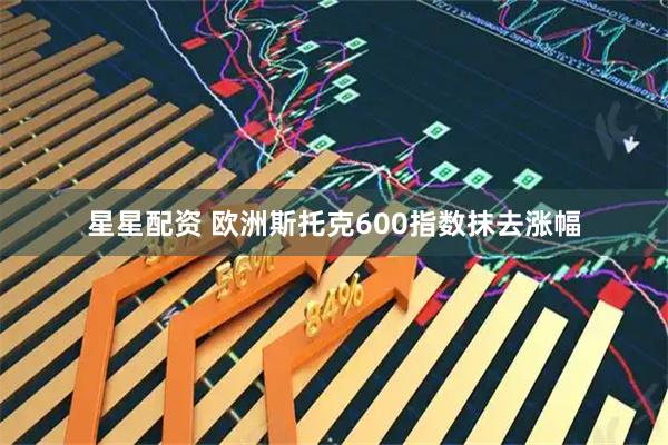 星星配资 欧洲斯托克600指数抹去涨幅