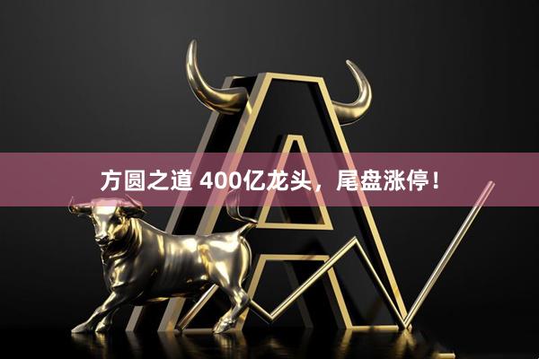 方圆之道 400亿龙头，尾盘涨停！
