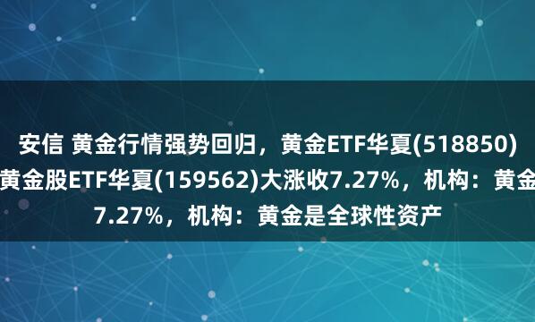 安信 黄金行情强势回归，黄金ETF华夏(518850)收涨2.31%，黄金股ETF华夏(159562)大涨收7.27%，机构：黄金是全球性资产